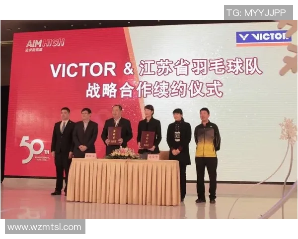 南京羽毛球队个人能力分析与表现评估研究报告